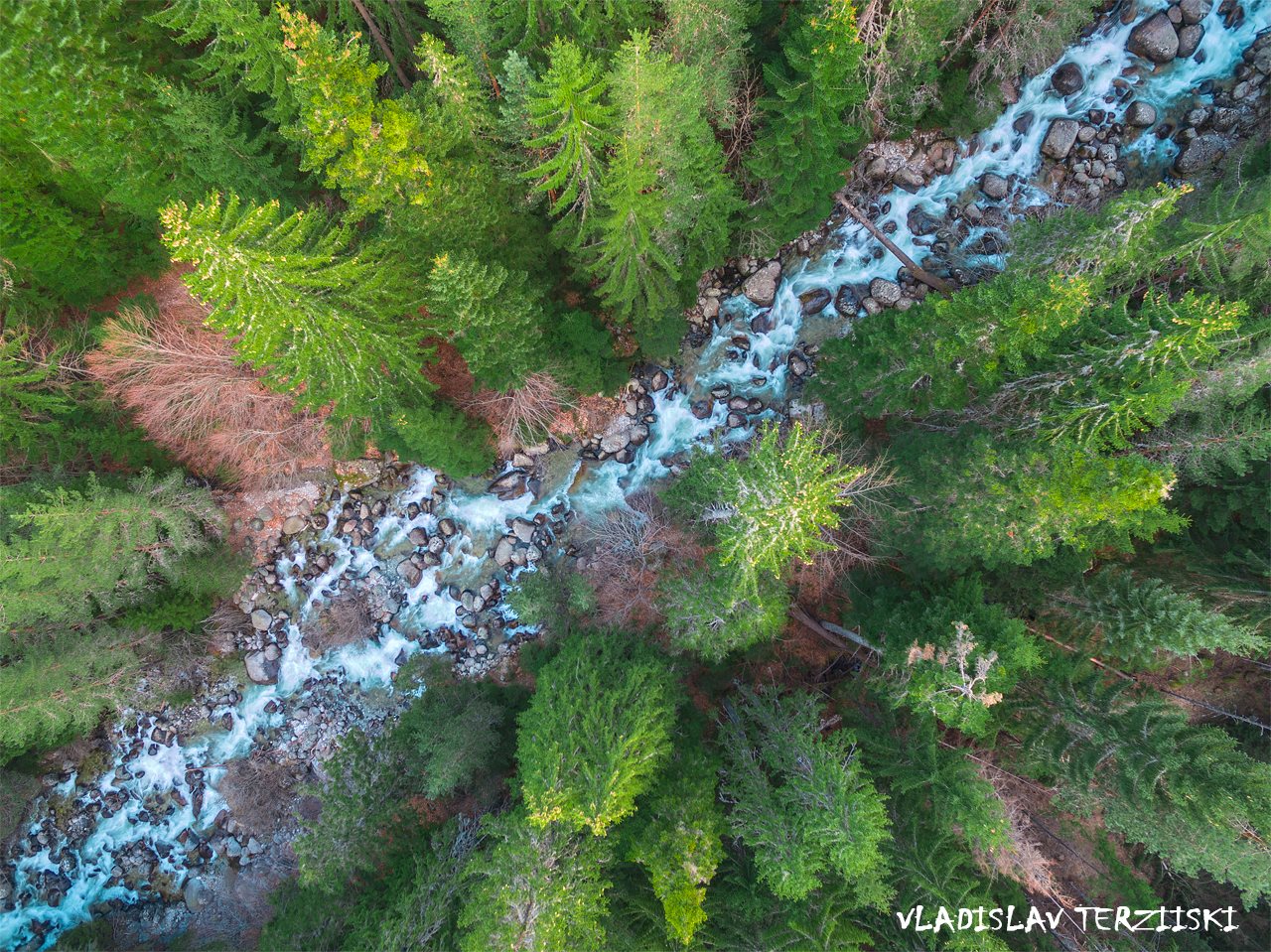 Trees and River Aero Photo